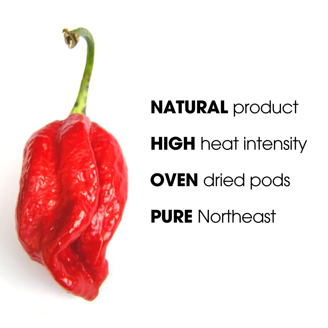 Bhut Jolokia Ghost Pepper Whole | King Chilli - Image 6