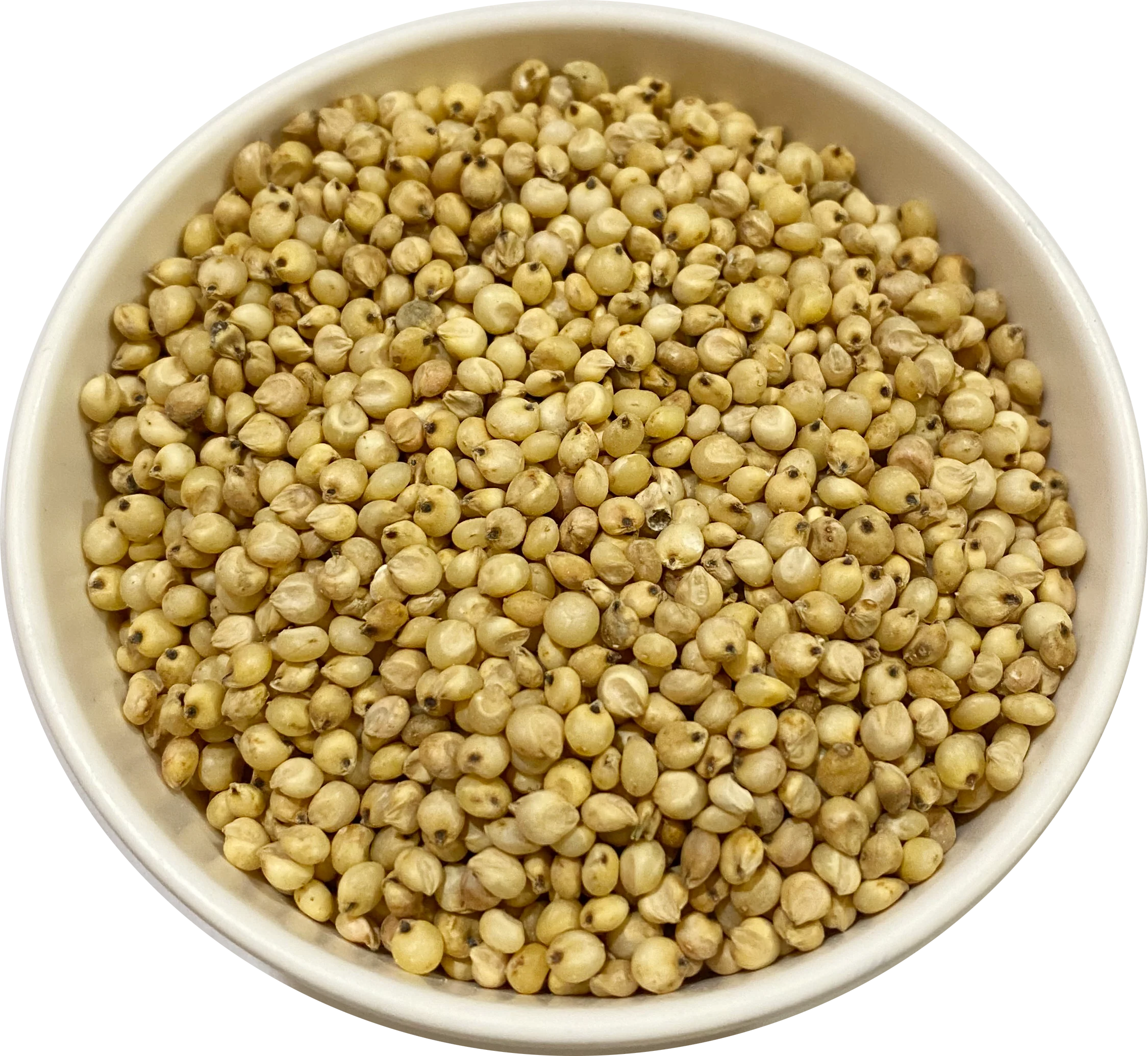 Foxtail Millet, Kangni - Image 5