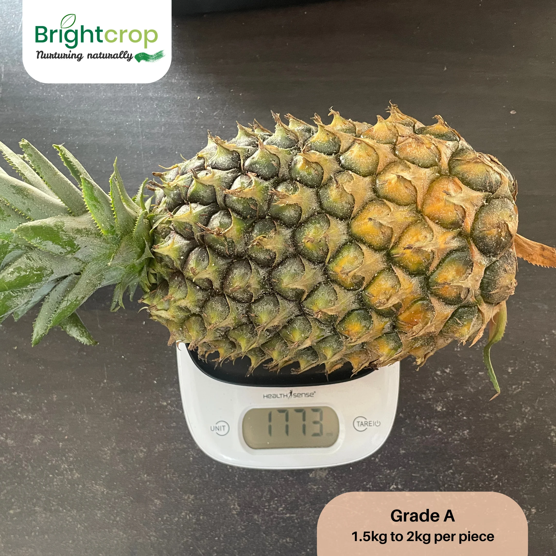 Fresh Pineapples - Image 13