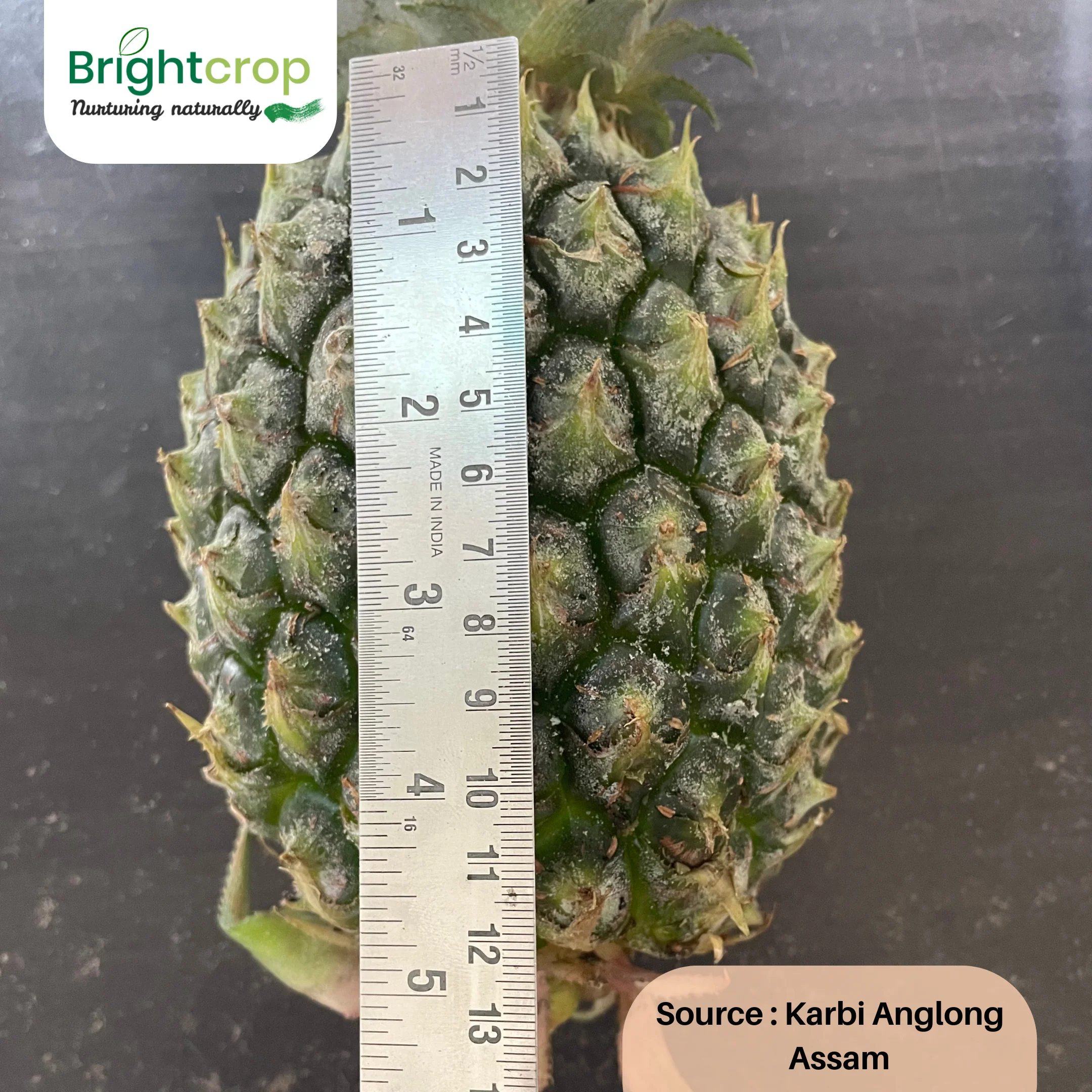 Fresh Pineapples - Image 4