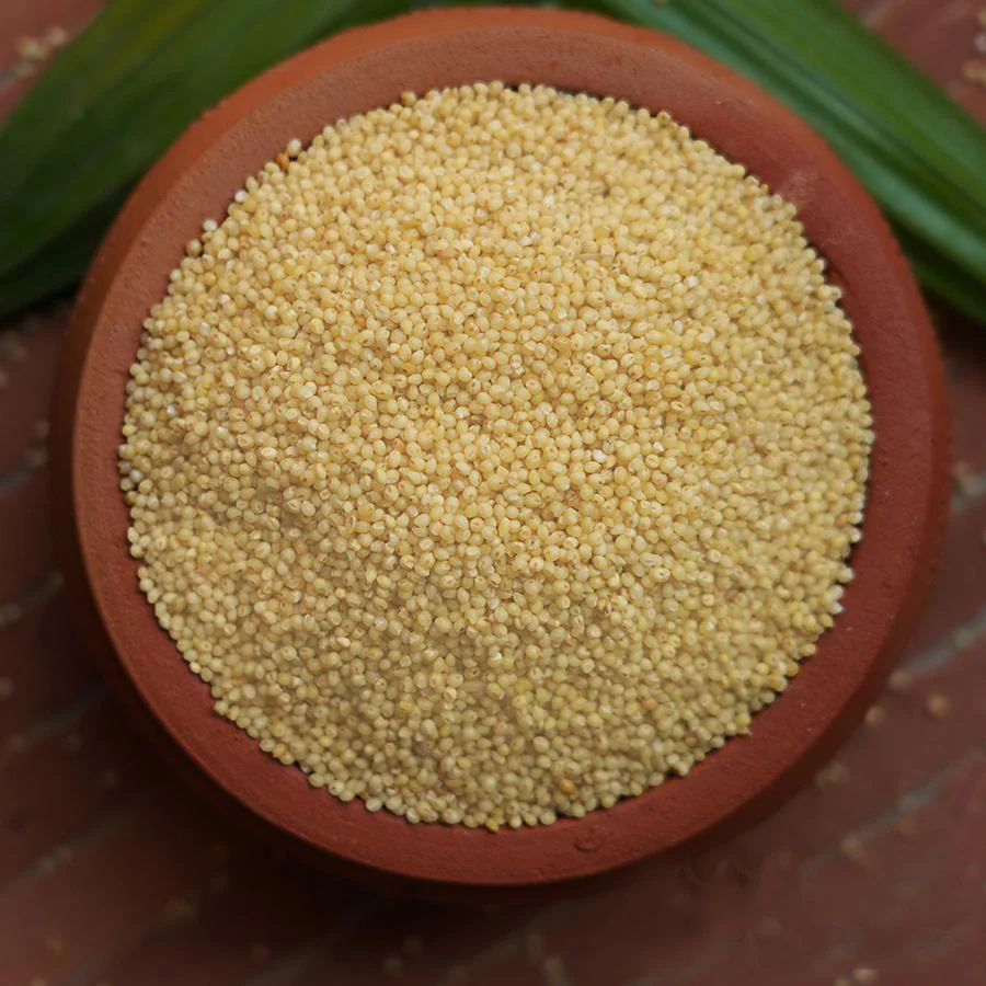 Proso Millet, Barri - Image 3