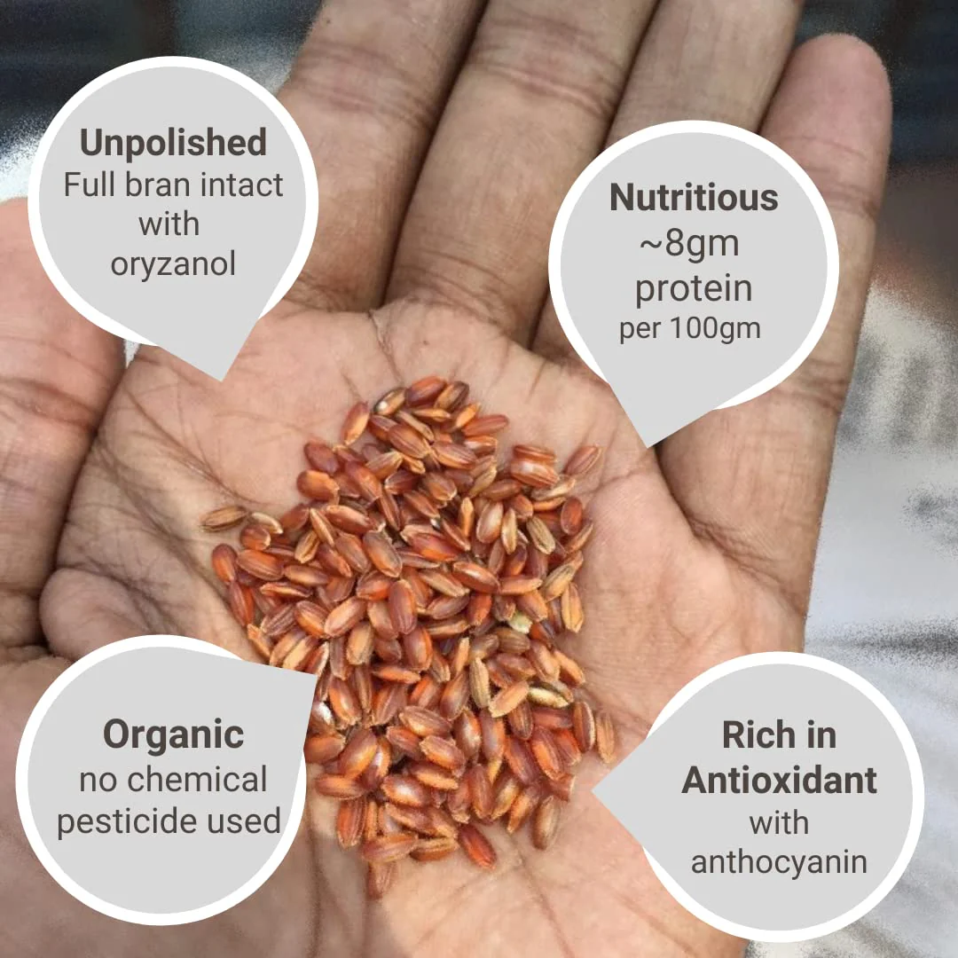 Red Rice, Himalayan - Image 5