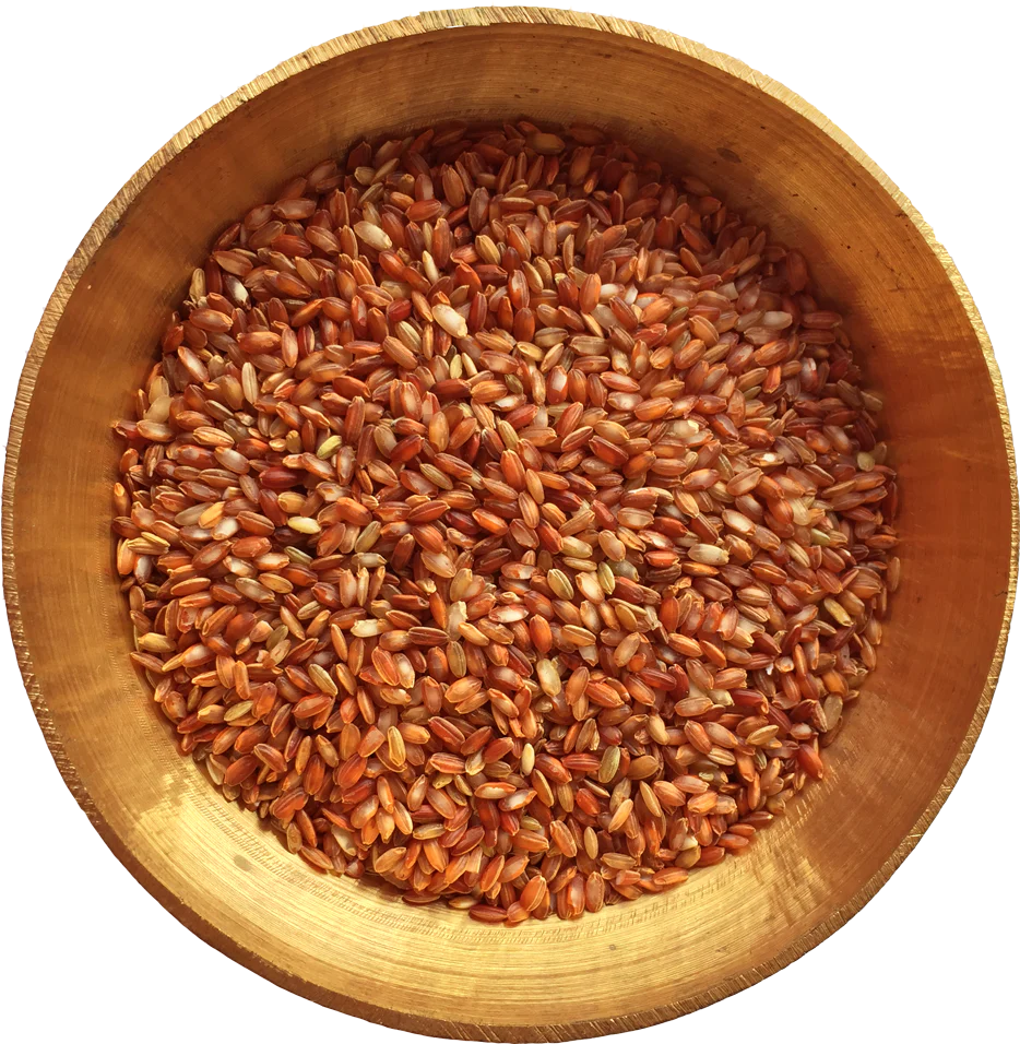 Red Rice | Himalayan (5KG Pack) - Image 8